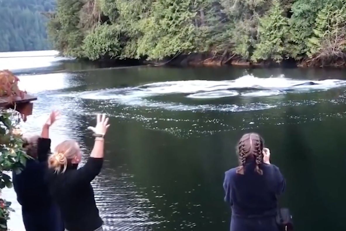 Au văzut valuri în mijlocul unui lac dintre munţi.Când au observat ce a ieşit de acolo, s-au speriat