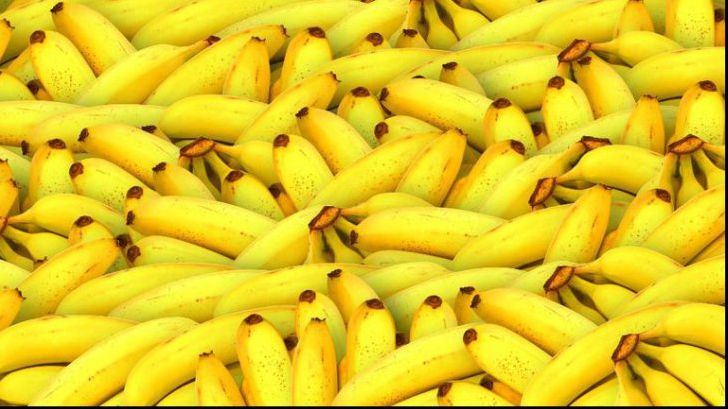 Alimente pe cale de dispariţie! Le consumi în fiecare zi