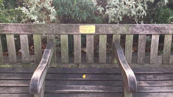 Apariție terifiantă pe o bancă de pe o stradă aglomerată din Londra