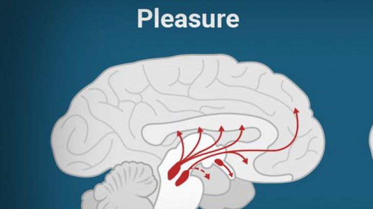 Ce produce la fel de multă plăcere ca un act sexual. E la îndemâna oricui 