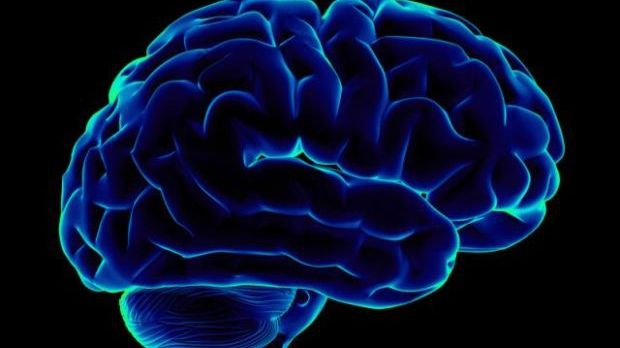 Adevăruri FASCINANTE despre creierul tău pe care nu ți le spune nimeni 