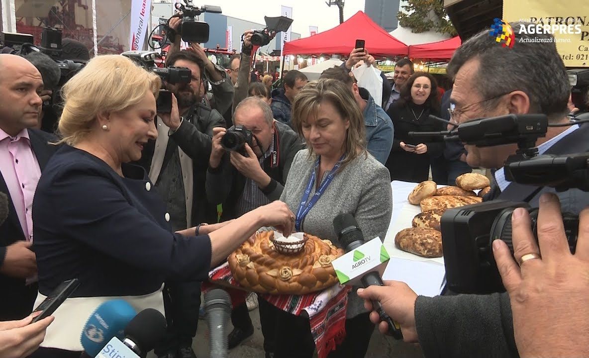 Dăncilă caută "tinctura care să unească societatea"