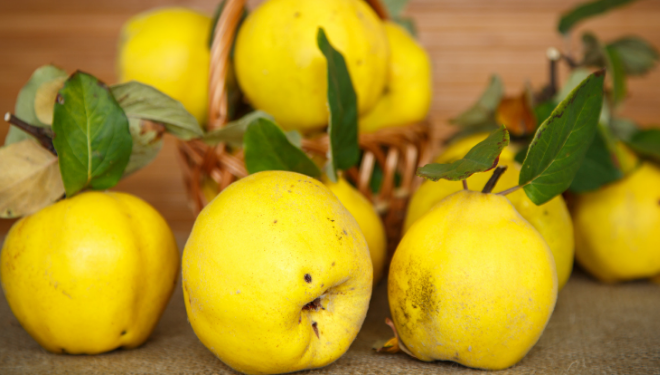 Uimitoarea dietă cu gutui. Iată cât de ușor este să slăbești!