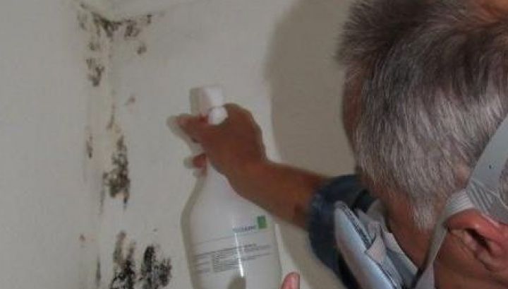 Cum să îndepărtezi mucegaiul de pe perete. Soluţia naturală, ieftină şi eficientă