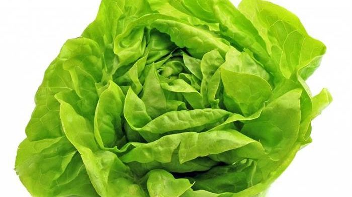 Salata verde, interzisă din cauza unei bacterii?!