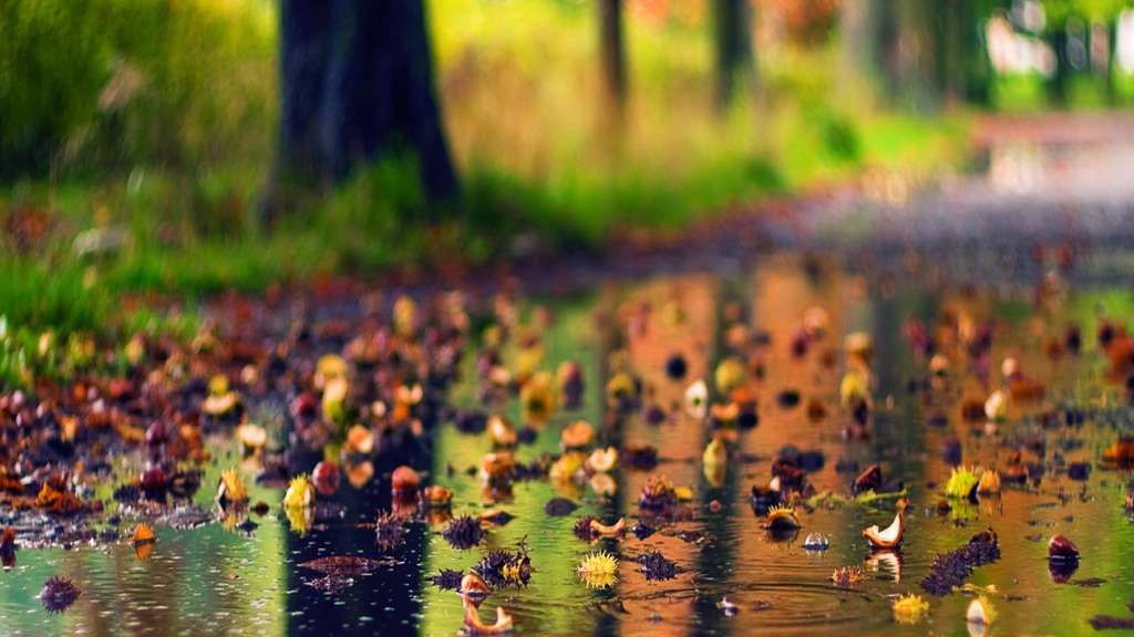 Vremea în acest weekend: temperaturi mai mari decât ar fi normal