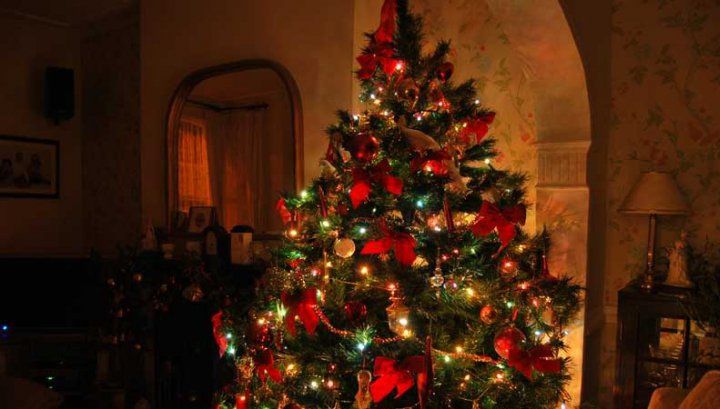 Când se împodobeşte, de fapt, bradul de Crăciun. Multă lume nu ştie şi face o mare greşeala