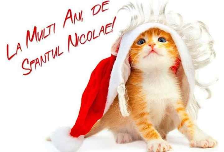 Sf Nicolae 2018. Cele mai frumoase pe care să le trimiţi sărbătoriţilor