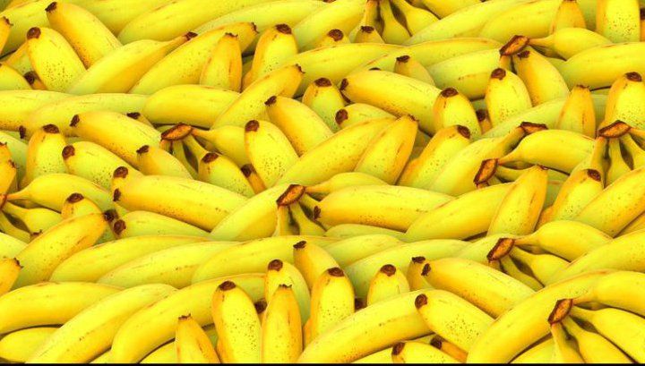 Alimente pe cale de dispariţie! Le consumi în fiecare zi