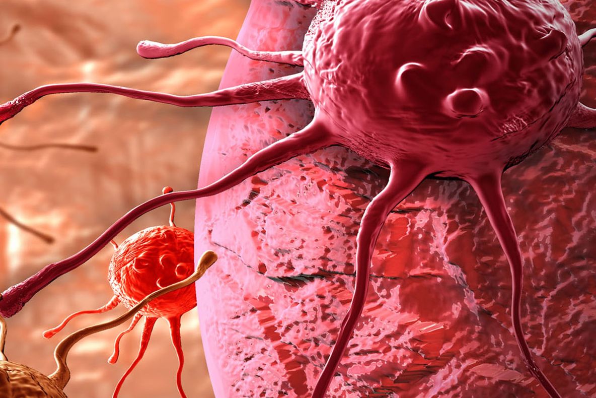 Descoperirea care ar putea revoluţiona tratamentul împotriva CANCERULUI. E uimitor 