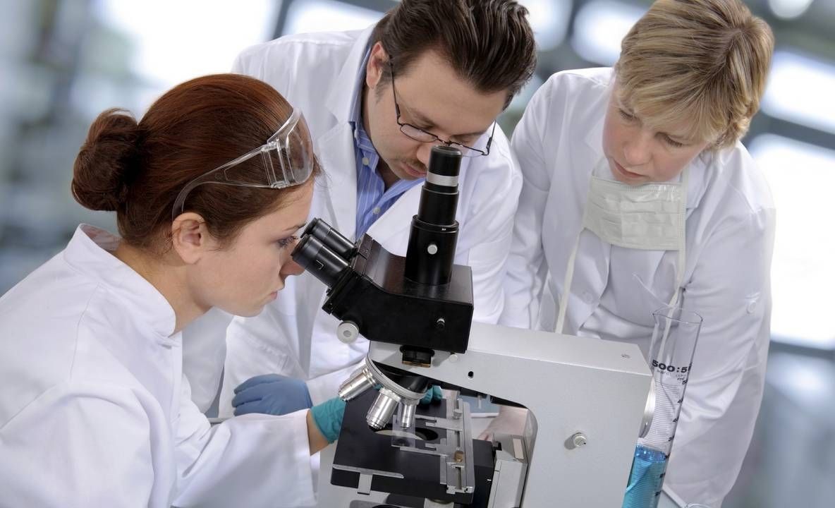 Descoperire FASCINANTĂ făcută de cercetători 