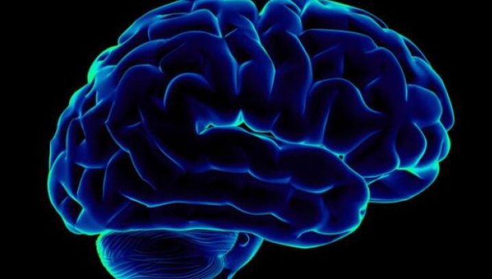Adevăruri FASCINANTE despre creierul tău pe care nu ți le spune nimeni