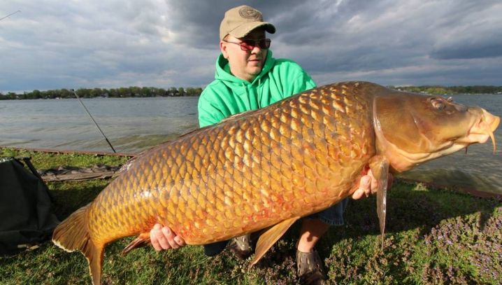 A prins un crap uriaș și l-a adus acasă. A avut un șoc când a despicat peștele