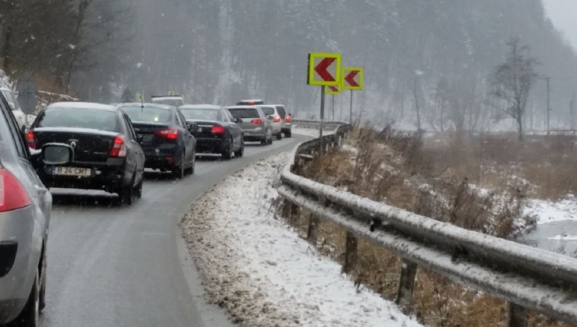 Un brad a provocat BLOCAJ pe DN1. Au avut loc tamponări