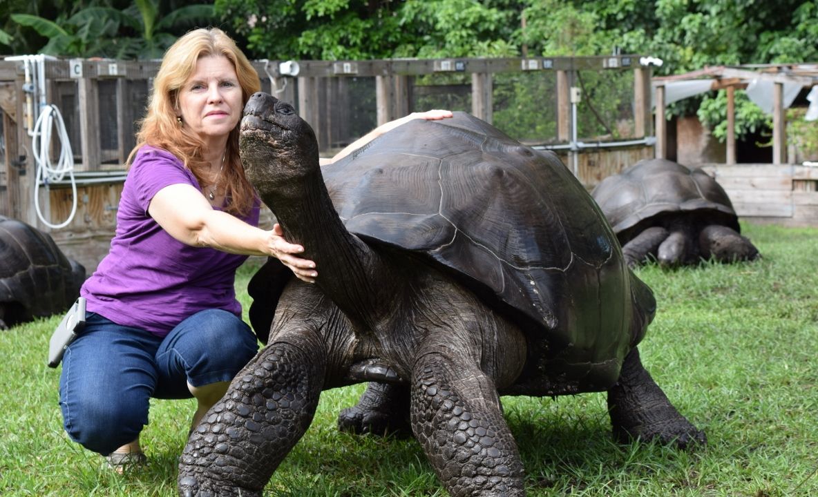 Descoperire FASCINANTĂ făcută de cercetători 