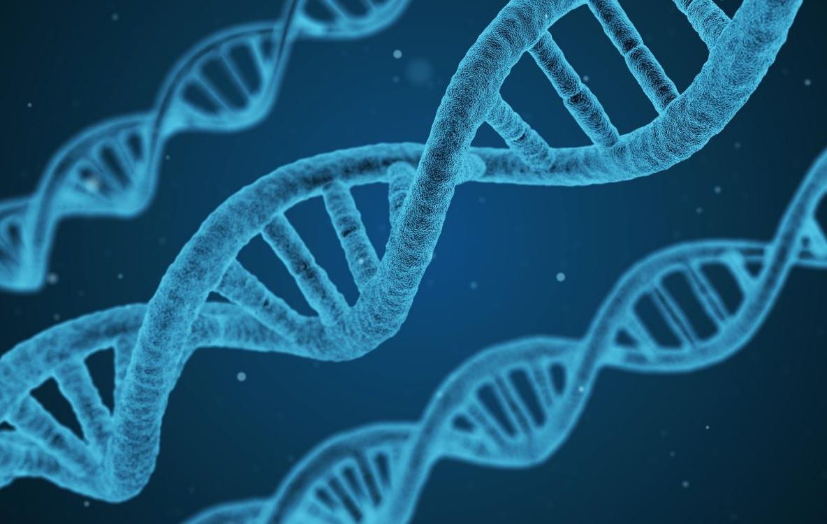 Descoperire incredibilă făcută de cercetători 