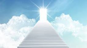 Când vei muri? Google îţi răspunde 