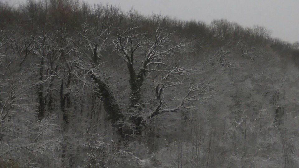 METEO: Cum va fi vremea din a doua zi de Crăciun până la Anul Nou