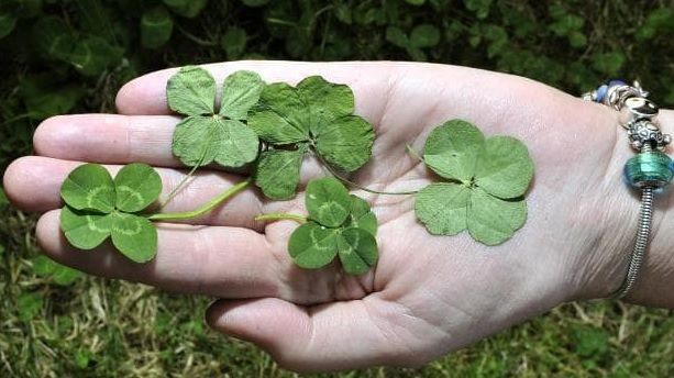 Zodiile care vor cunoaște numai reușite pe plan financiar, în 2019. Astrele le surâd