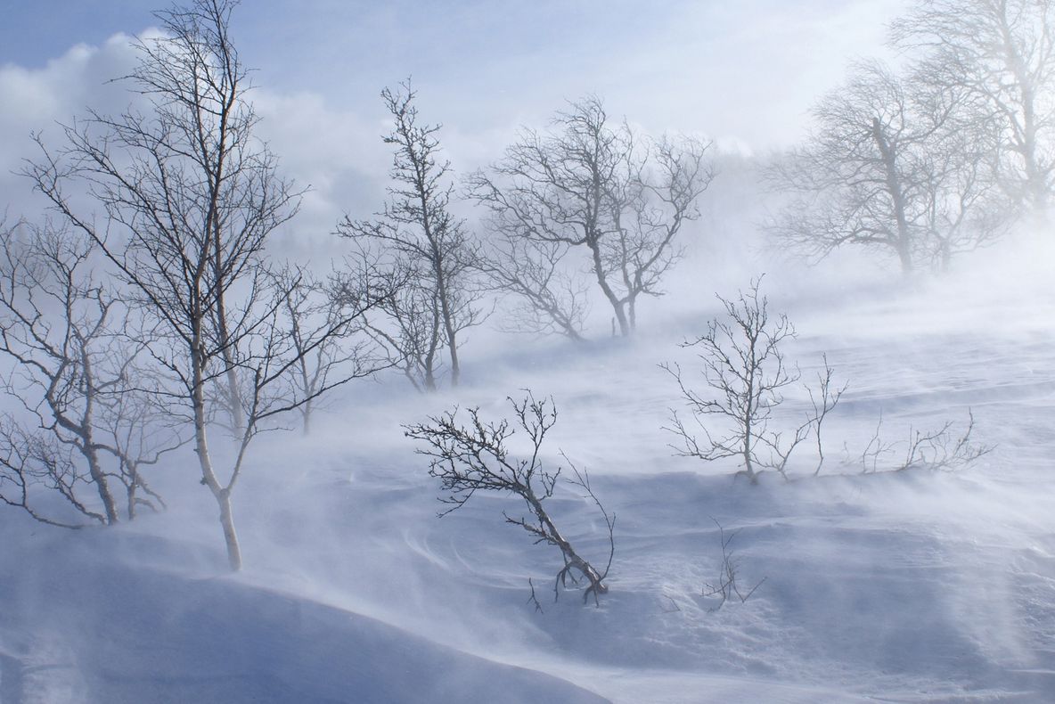 Avertizare meteo: Cod Portocaliu și Cod Galben de viscol! Zonele lovite