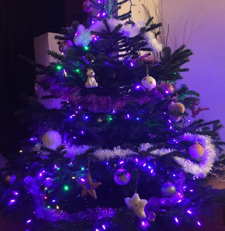 Când despodobim bradul de Crăciun? 