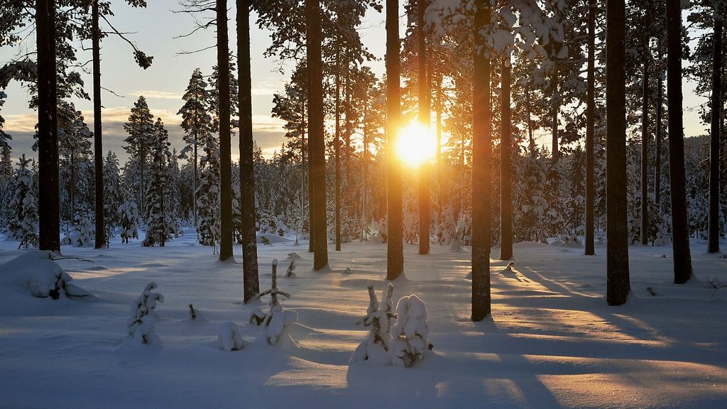 Prognoza meteo luna februarie 2019. Temperaturi peste normele perioadei