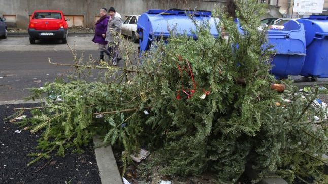 Ce să faci cu bradul de Crăciun?