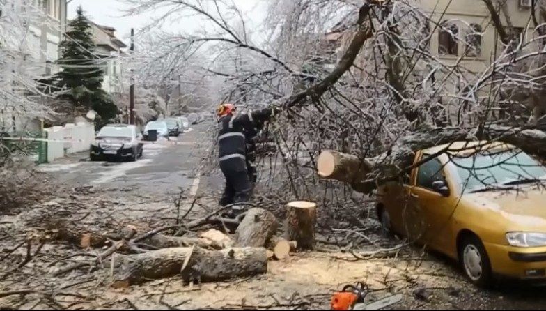 Asigurarea CASCO acoperă avariile cauzate de copacii îngheţaţi sau de blocurile de gheaţă