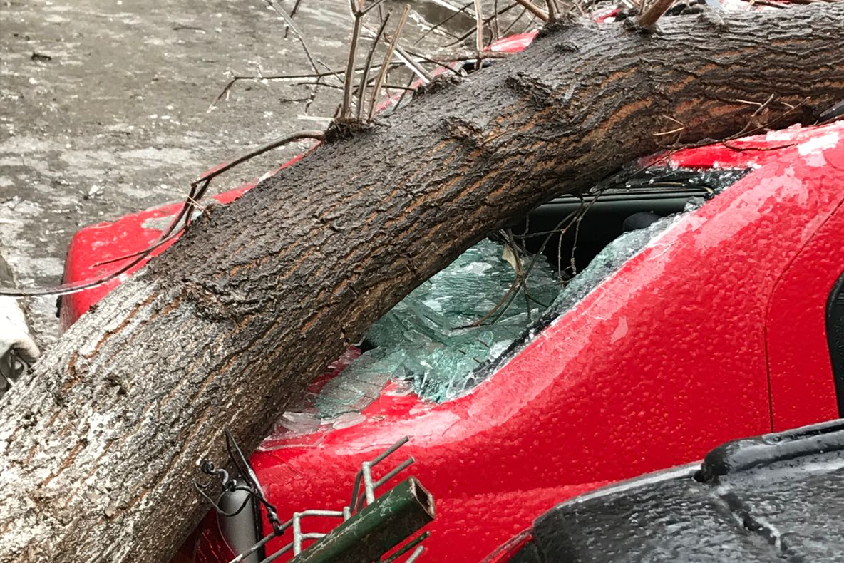 Imagini apocaliptice în București