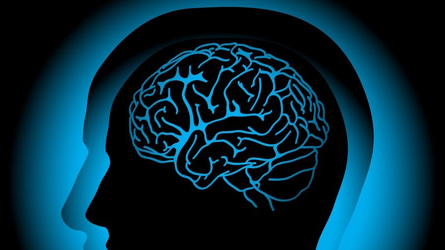 Obiceiurile prin care îţi distrugi singur creierul