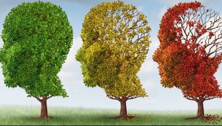 Ce e bine să mâncăm ca să reducem riscurile de DEMENȚĂ. Care sunt cele 2 ingrediente ce pot face minuni 