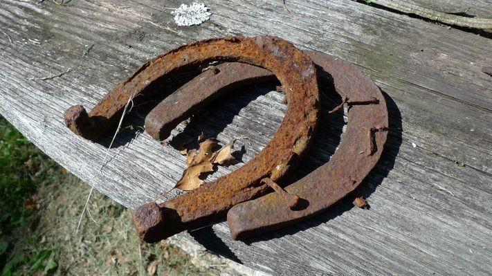 Horoscop financiar 21-27 ianuarie. Zodia care ajunge la sapă de lemn. Schimbări dramatice