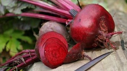 Ce afecțiuni poate trata sfecla