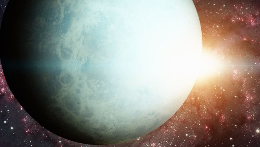 Cele mai bizare descoperiri ştiinţifice ale anului trecut. Nu îți vine să crezi ce este posibil 