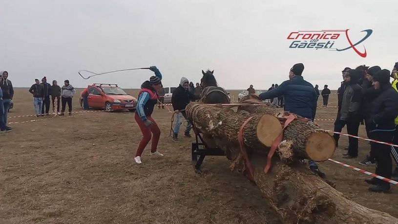 Sărbătoarea botezului cailor din Dâmbovița s-a terminat cu chinuirea animalelor. Scene șocante