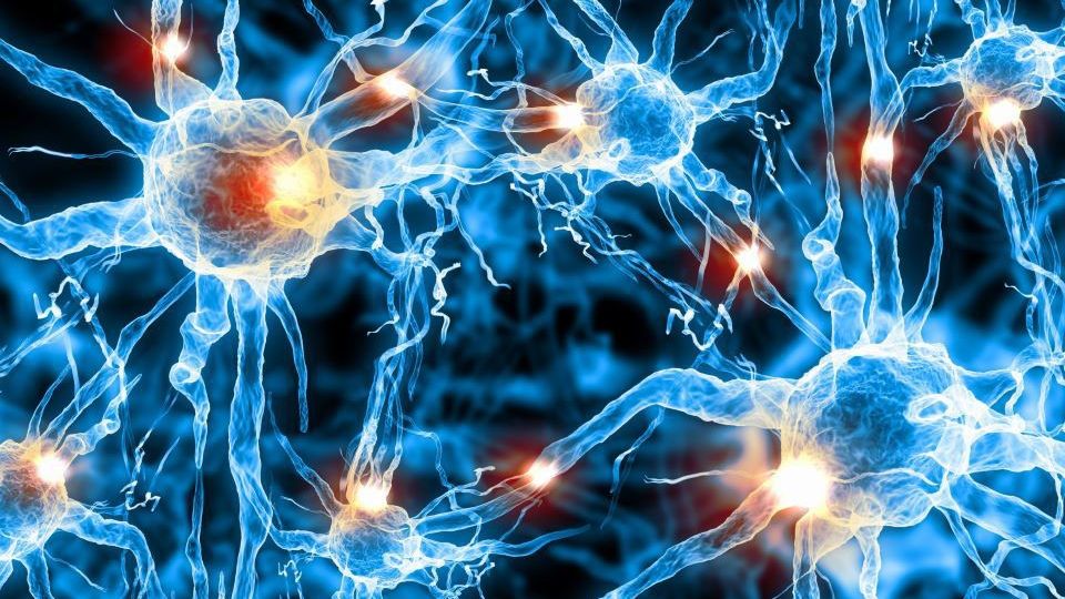 Premiera uluitoare: Cercetătorii au reuşit să traducă gândul în vorbire