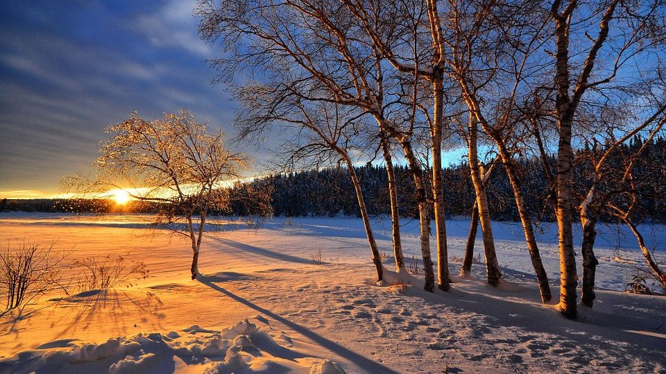 Gata, vine primăvara! Prognoza meteo pentru următoarele zile