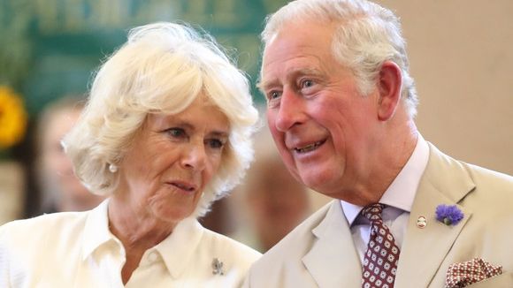 "Fiul secret" al lui Charles şi al Camillei susţine că Diana urma să facă totul public