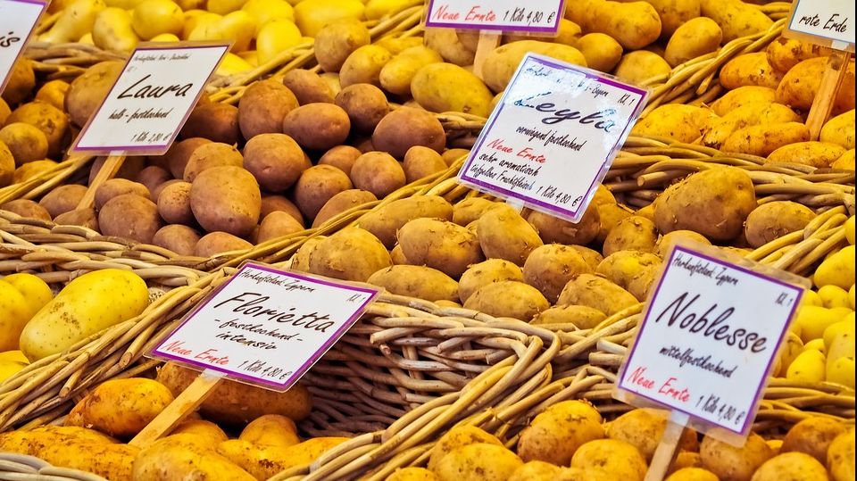 Banalul cartof revine în topul legumelor minune