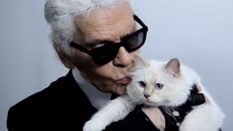 Choupette, pisica lui Karl Lagerfeld, va moşteni o avere fabuloasă