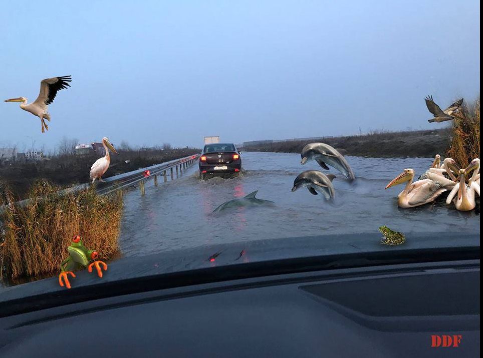 Asociația Pro Infrastructură, despre nominalizarea lui Răzvan Cuc: ,,O ciorbă proastă reîncălzită''