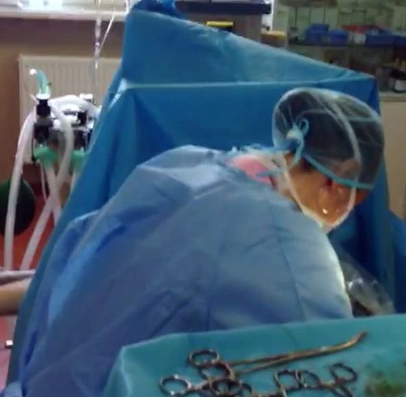 CJ Ilfov, plângere penală în cazul falsului medic ginecolog