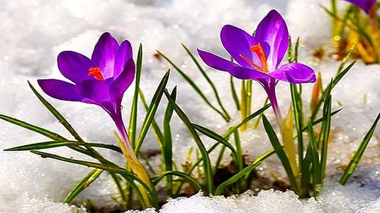 Zile însorite și temperaturi în creștere, mai ales în sud și estul României: cum va fi vremea până la mijlocul săptămânii