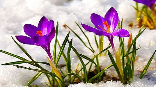 Vremea, dintr-o extremă în alta. Meteorologii anunță schimbări majore. Prognoza pe o lună