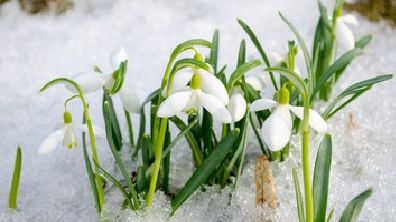 Cât mai durează vremea de primăvară. Meteorologii anunță schimbări dramatice