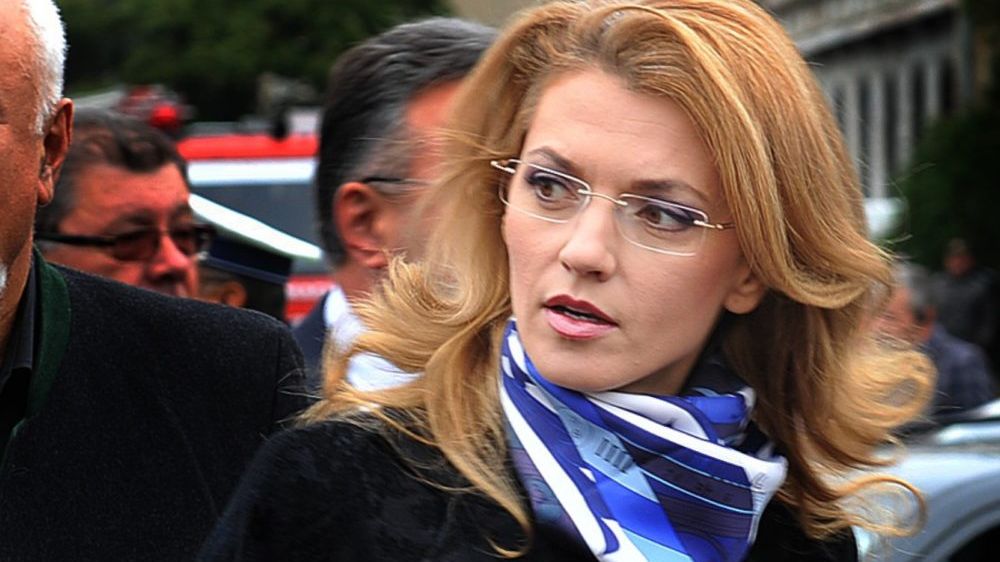 Alina Gorghiu: "Drăghici la AEP, un fel de lup paznic la oi"