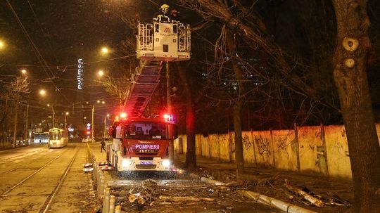 Codul galben a făcut ravagii. Panouri luate de vânt pe A2. Copaci căzuți și mașini avariate. FOTO