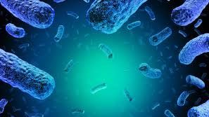 Primele simptome ale infecţiei cu LISTERIA, bacteria găsită în somonul de la Auchan 