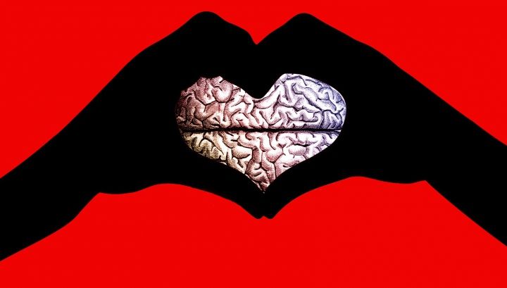 Ce se întâmplă cu noi atunci când ne îndrăgostim