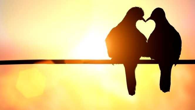 Ce se întâmplă în creierul nostru atunci când ne îndrăgostim. Chimie sau iubire? 